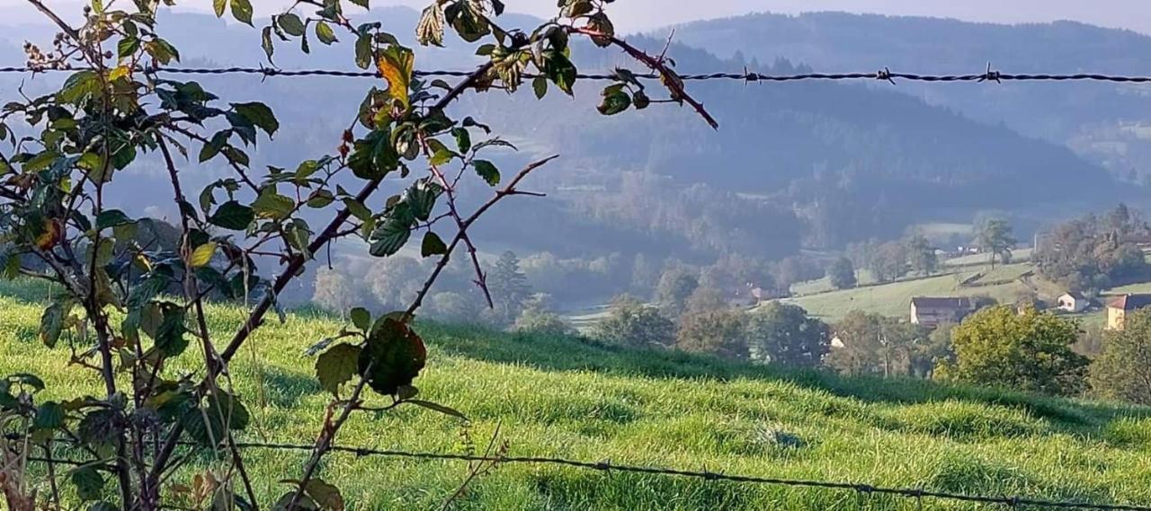 La Mazille , Cossy Vakantiestudio Met Zwembad In Zuid-Bourgogne Anglure-sous-Dun 외부 사진